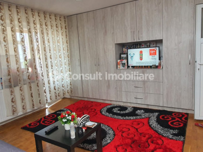 Apartament 1 camera | Intre Lacuri
